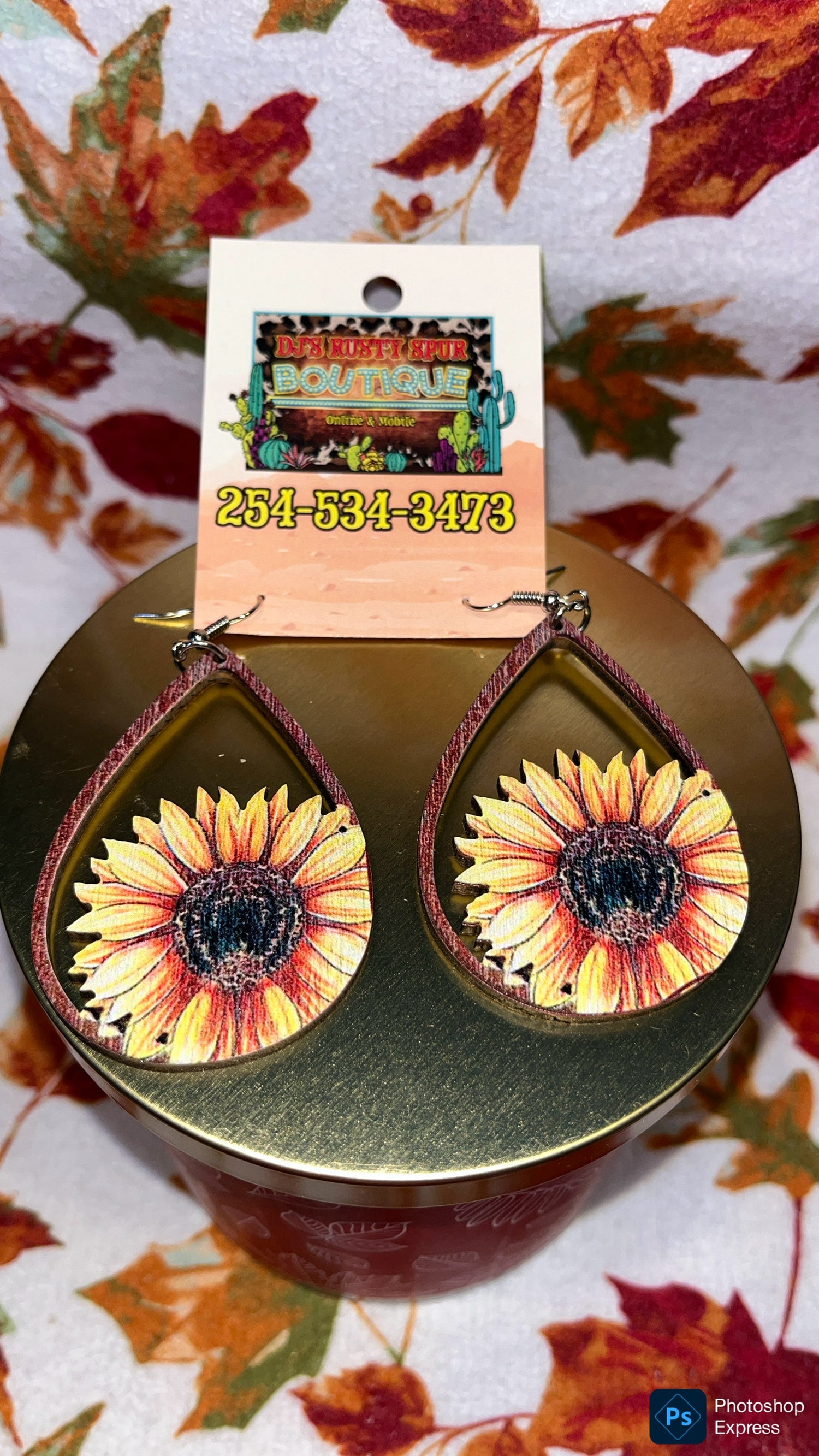 Western Themed Dangle Earrings