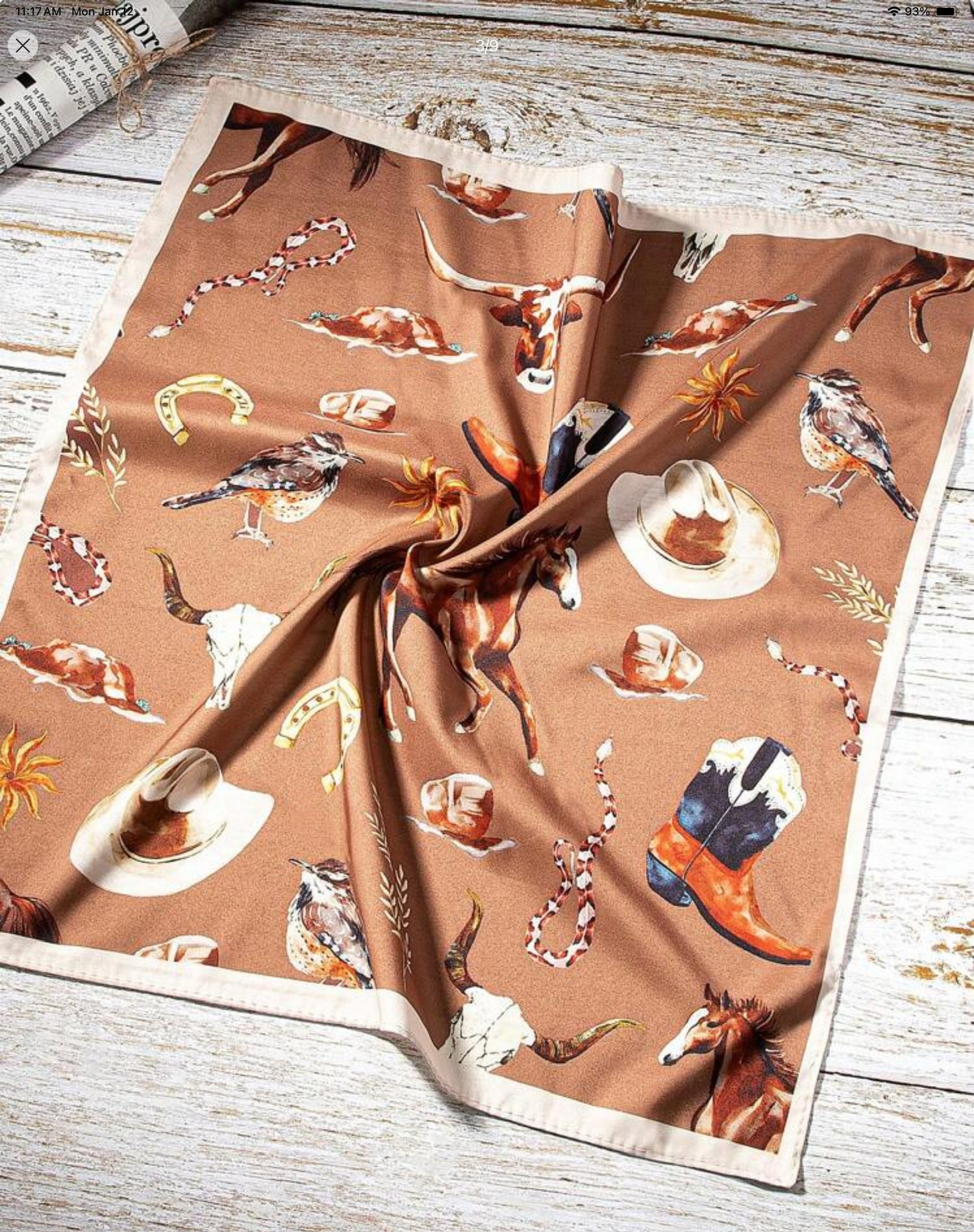 Western Paisley Wild West Bandanna