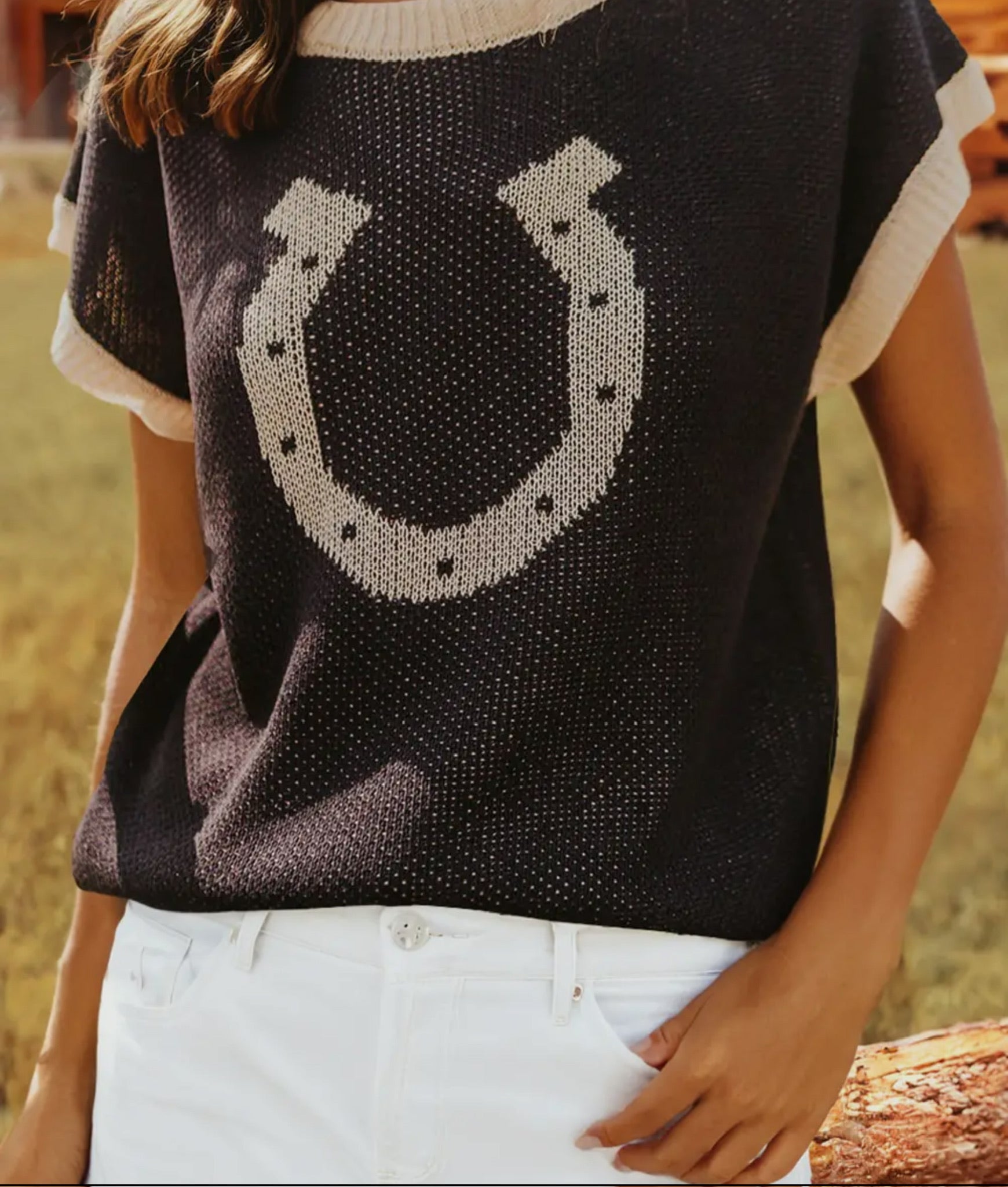 Horseshoe Graphic Short Sleeve Sweater
